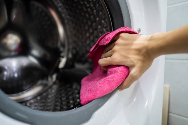 Best Mold Prevention Services  in West Elmira, NY