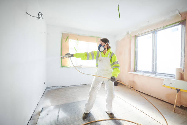 Best Crawl Space Mold Remediation  in West Elmira, NY