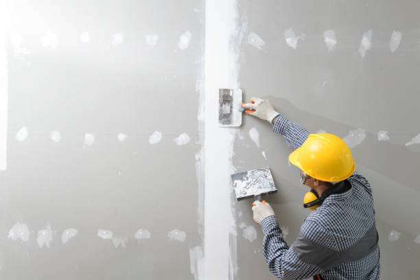 Best Environmental Consulting for Mold Prevention  in West Elmira, NY